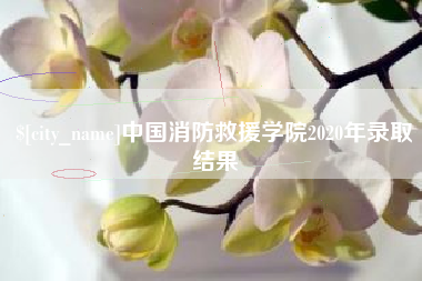 沙河中国消防救援学院2020年录取结果