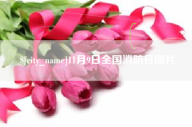沙河11月9日全国消防日图片