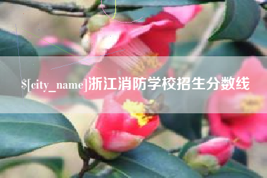沙河浙江消防学校招生分数线