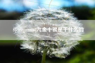沙河九金十银是干什么的