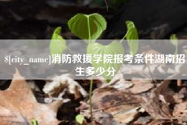 沙河消防救援学院报考条件湖南招生多少分