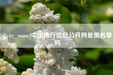沙河中国执行信息公开网是黑名单吗