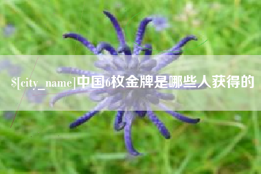 沙河中国6枚金牌是哪些人获得的