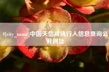 沙河中国失信被执行人信息查询公开网址