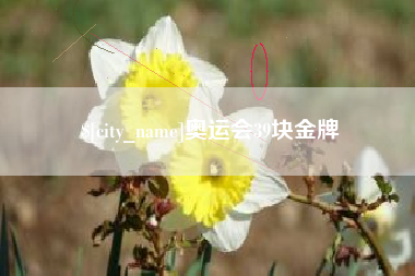 沙河奥运会39块金牌