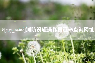 沙河消防设施操作员证书查询网址
