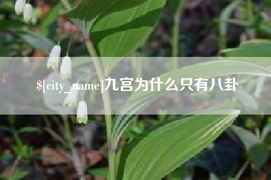 沙河九宫为什么只有八卦