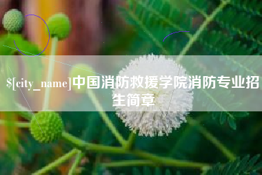 沙河中国消防救援学院消防专业招生简章