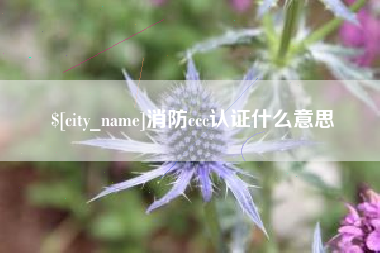 沙河消防ccc认证什么意思