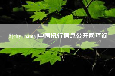 沙河中国执行信息公开网查询
