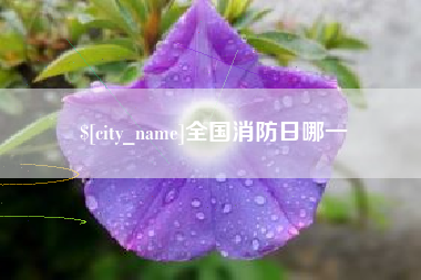沙河全国消防日哪一