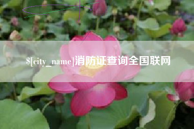 沙河消防证查询全国联网