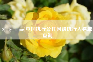 沙河中国执行公开网被执行人名单查询