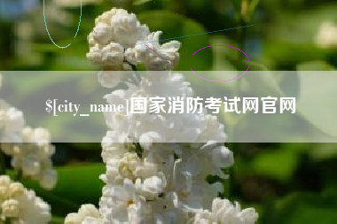 沙河国家消防考试网官网