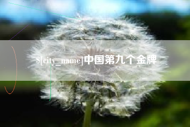 沙河中国第九个金牌