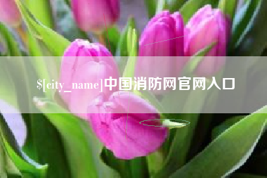 沙河中国消防网官网入口
