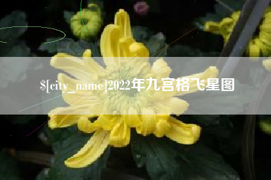 沙河2022年九宫格飞星图