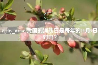 沙河我国的消防日是每年的11月9日对吗？