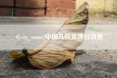 沙河中国九枚金牌分别是