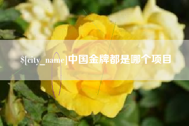 沙河中国金牌都是哪个项目
