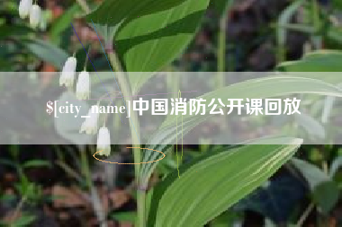 沙河中国消防公开课回放