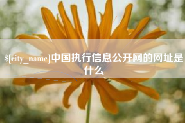 沙河中国执行信息公开网的网址是什么