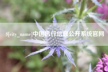 沙河中国执行信息公开系统官网