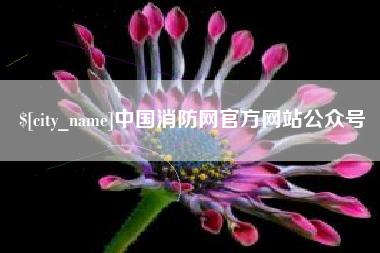 沙河中国消防网官方网站公众号