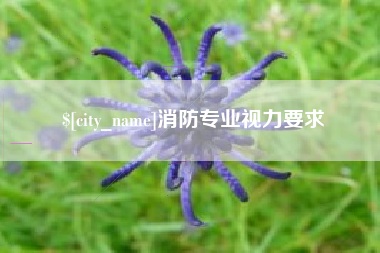 沙河消防专业视力要求