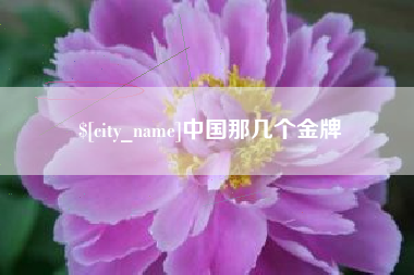 沙河中国那几个金牌
