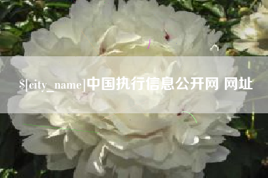 沙河中国执行信息公开网 网址