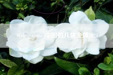 沙河中国的几块金牌2021