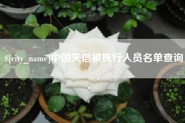 沙河中国失信被执行人员名单查询