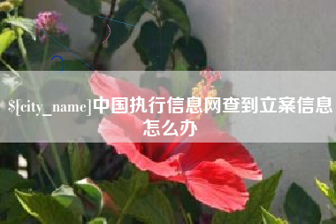 沙河中国执行信息网查到立案信息怎么办