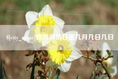 沙河我国消防日是几月几日几日