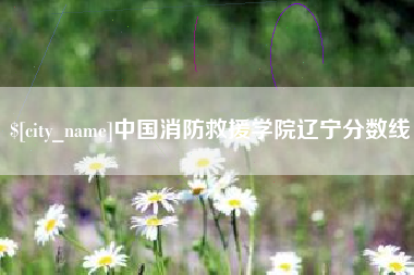 沙河中国消防救援学院辽宁分数线