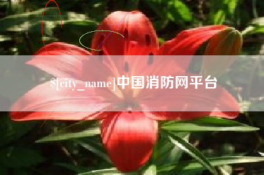 沙河中国消防网平台