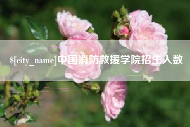 沙河中国消防救援学院招生人数