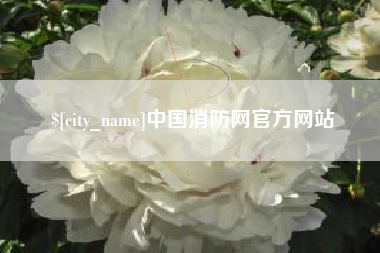 沙河中国消防网官方网站