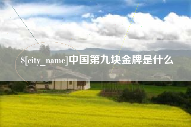 沙河中国第九块金牌是什么