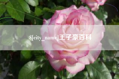 沙河王子豪百科