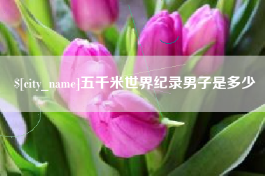 沙河五千米世界纪录男子是多少