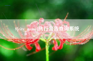 沙河执行公告查询系统