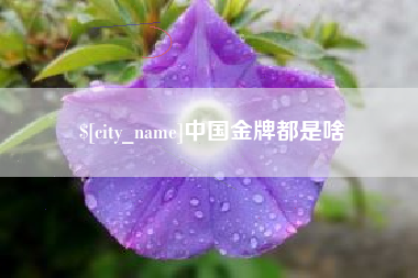 沙河中国金牌都是啥