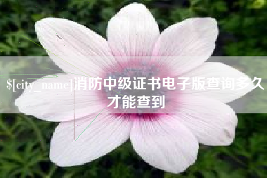 沙河消防中级证书电子版查询多久才能查到