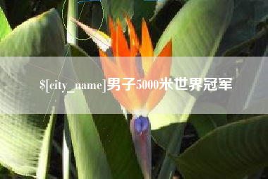 沙河男子5000米世界冠军