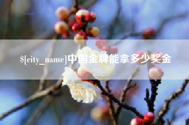 沙河中国金牌能拿多少奖金