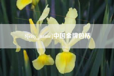 沙河中国金牌包括