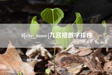 沙河九宫格数字排序