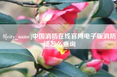 沙河中国消防在线官网电子版消防证怎么查询